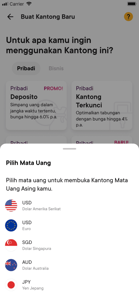 cara hemat tukar uang luar negeri beli valas di kantong mata uang asing bank jago